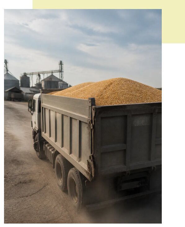 Перевозка сельхозпродукции навалом в Карпинск по цене от 3080 р. | Агросервис-Кпн